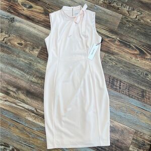 NWT Calvin Klein Sleeveless Mock Neck Tie Soft Pink Solid Sheath Dress Size 10